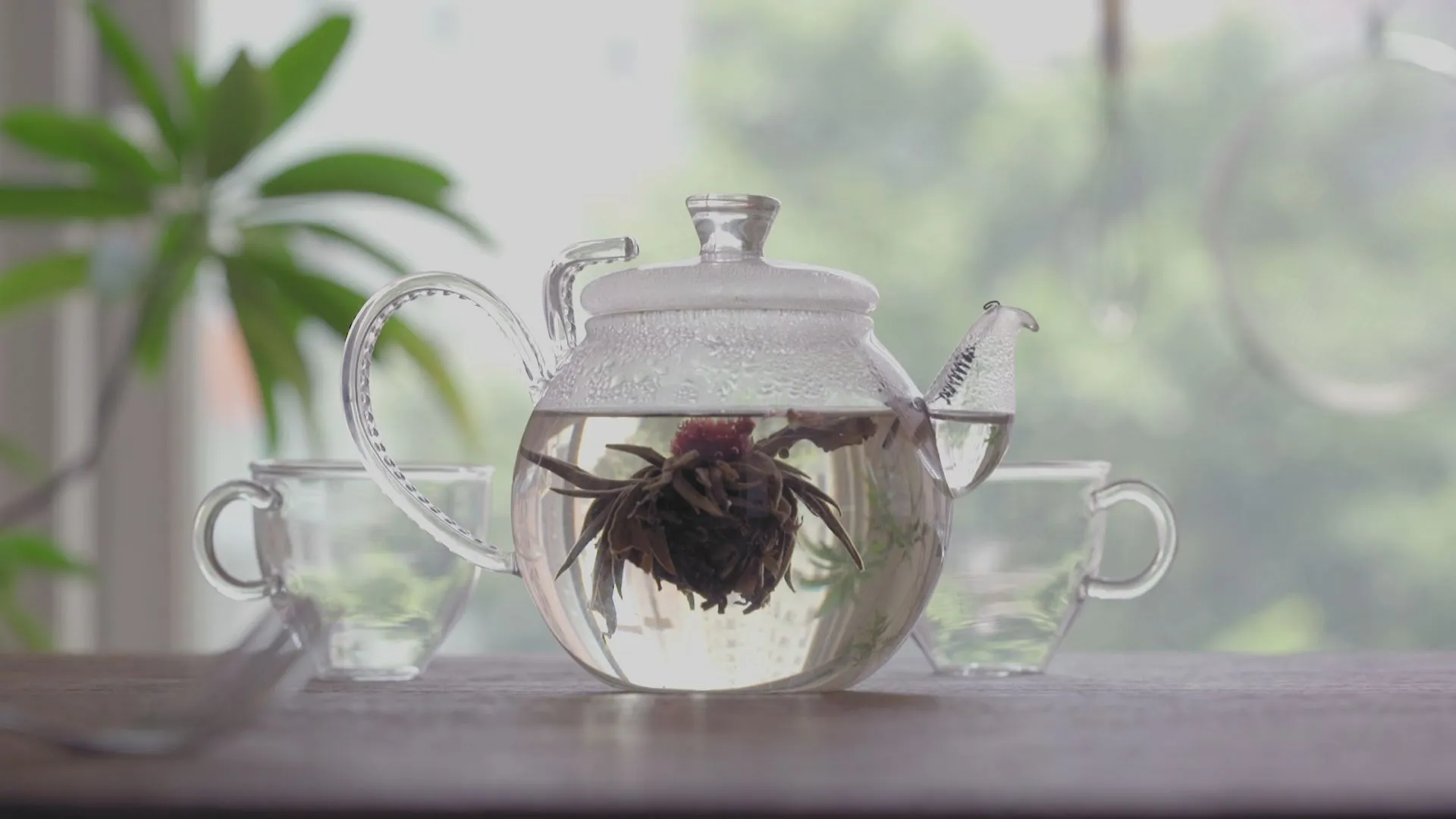 The Unsung Heroes, a choir of domestic helpers