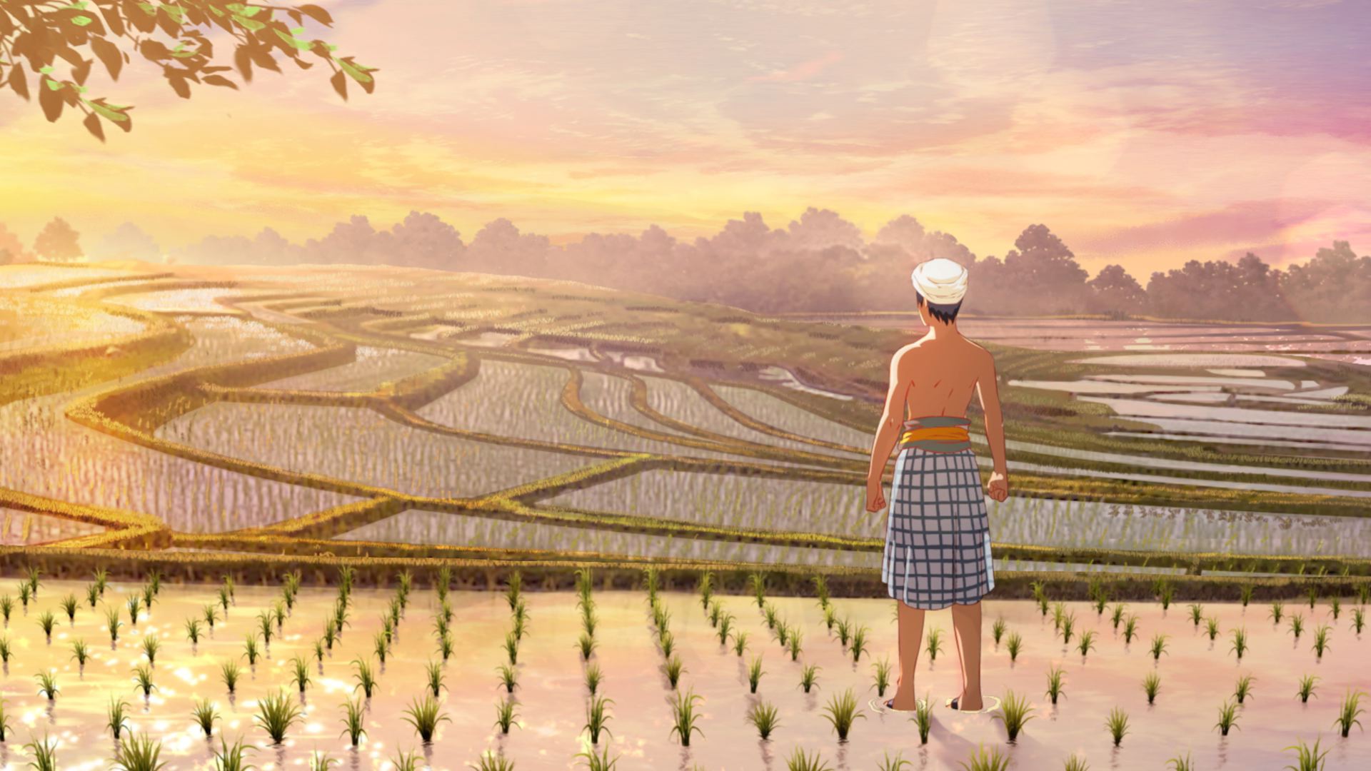 Anime boy in rice paddies