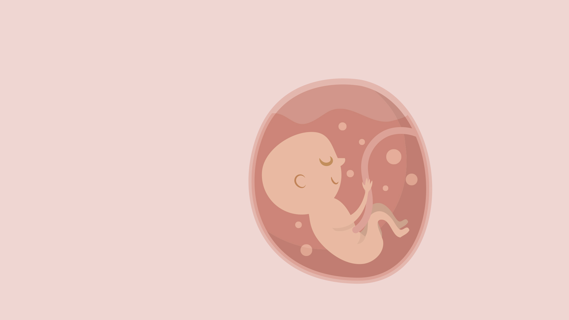 Character desgn for a 2D animated baby in a womb.